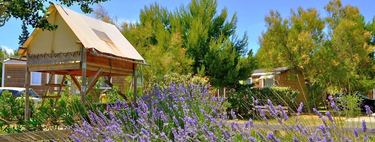 Offrez-vous la douceur du Domaine de la Palme dans l&rsquo;Aude