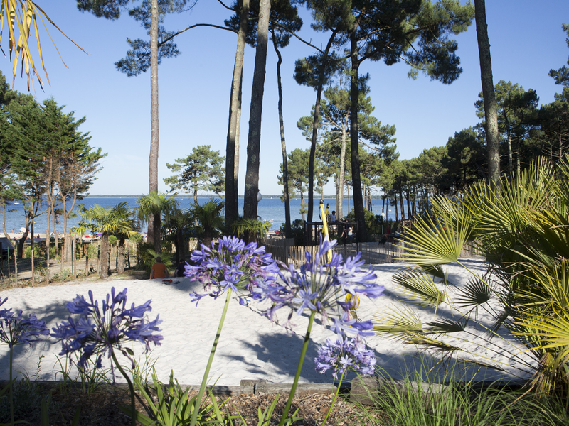 Séjour en pleine nature : pourquoi choisir Plouguerneau ?