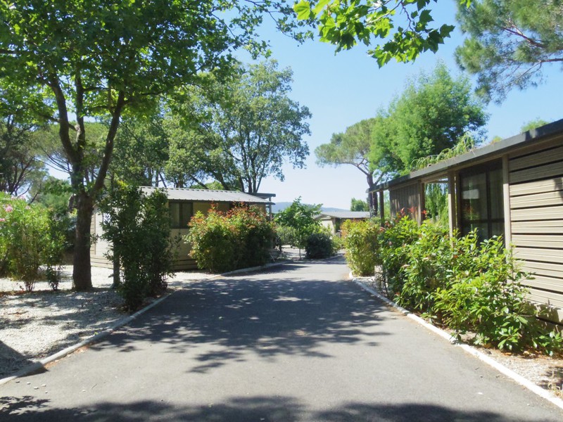 Camping sur l&rsquo;île de Ré : comment trouver l&rsquo;idéal ?